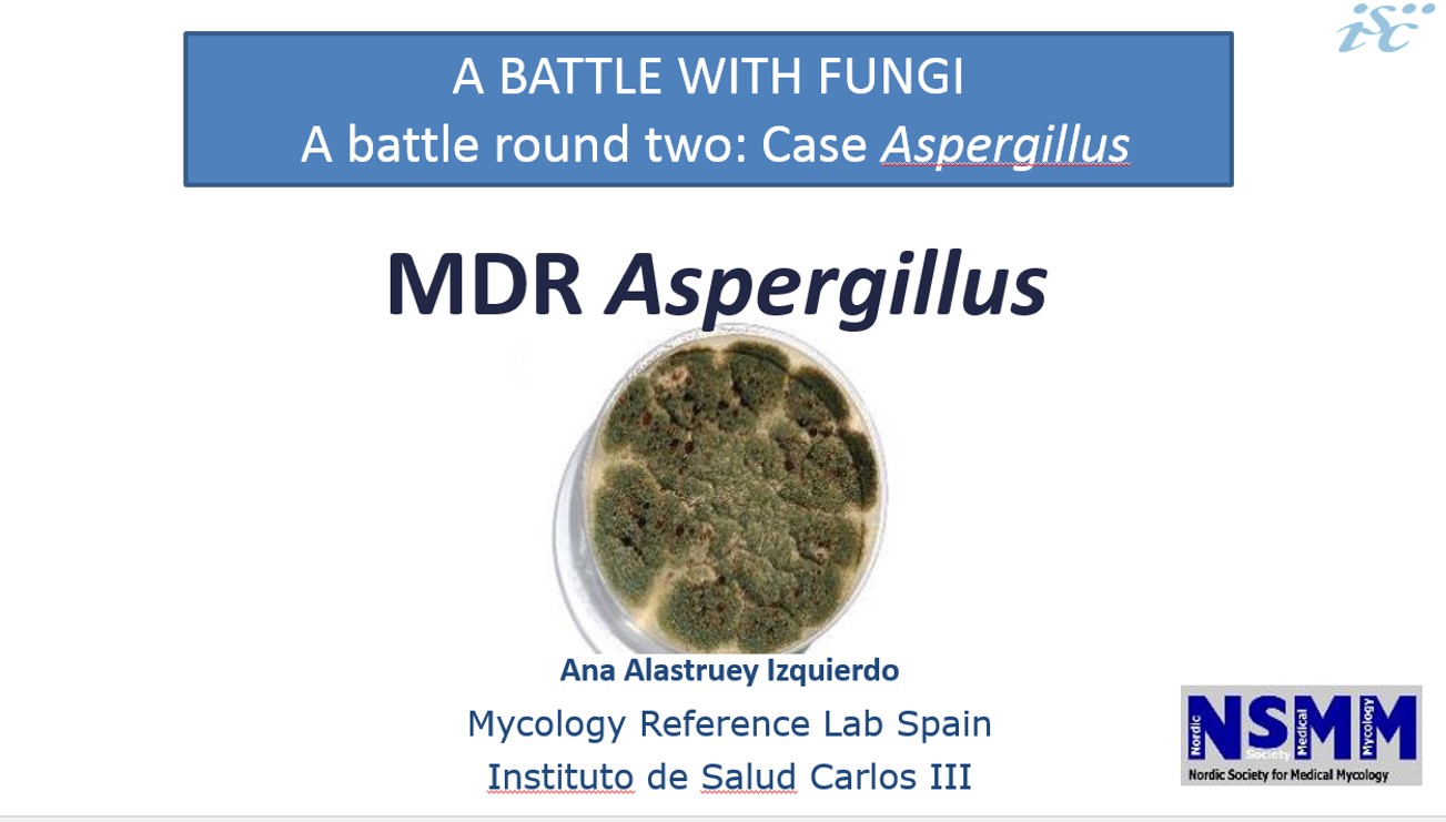 MDR Aspergillus Presentation