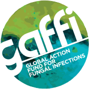 gaffi: Global Action Fund for Fungal Infections